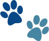 dogs paw